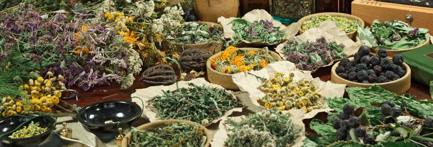 @plantes medicinales
